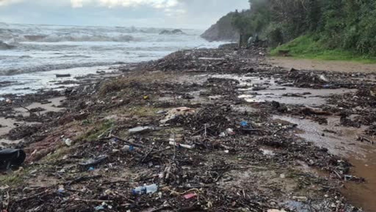 Bartın'da Bozköy Sahili'ne Ölü yunus balığı kalıntıları vurdu