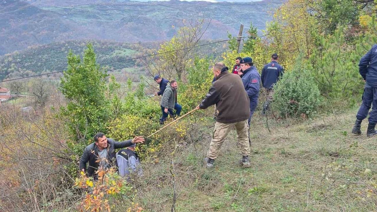 Bartın'da defne toplamak için gittiği ormanda kaybolan 78 yaşındaki kadın 48 saat sonra ölü bulundu