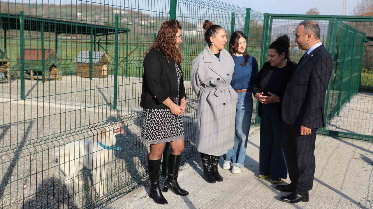 Bartın Üniversitesi'nde Kampüs Hayvanları İçin 400 m² Hayvan Yaşam Merkezi