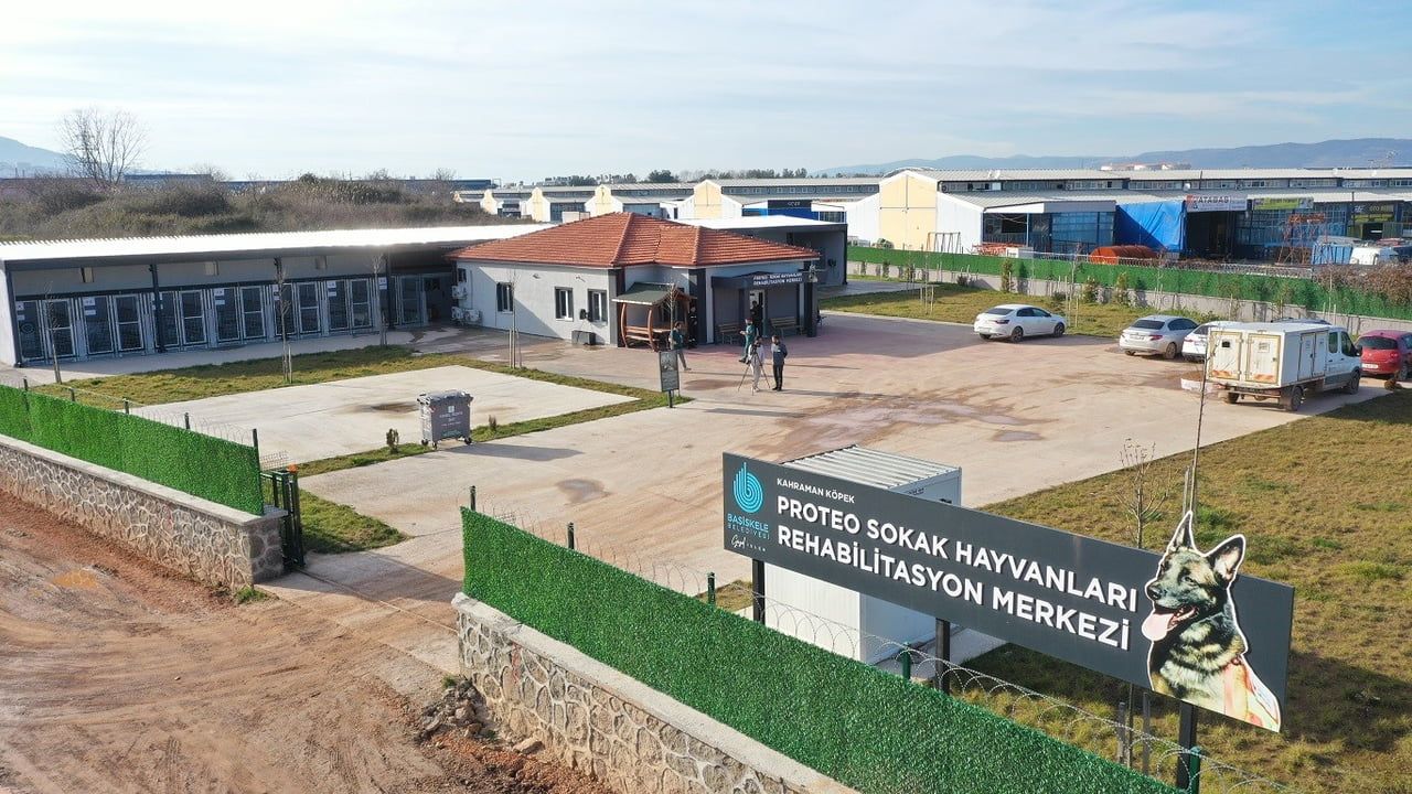 Başiskele'de Proteo Rehabilitasyon Merkezi Yanına 5 Dönümlük Doğal Yaşam Alanı Kuruluyor