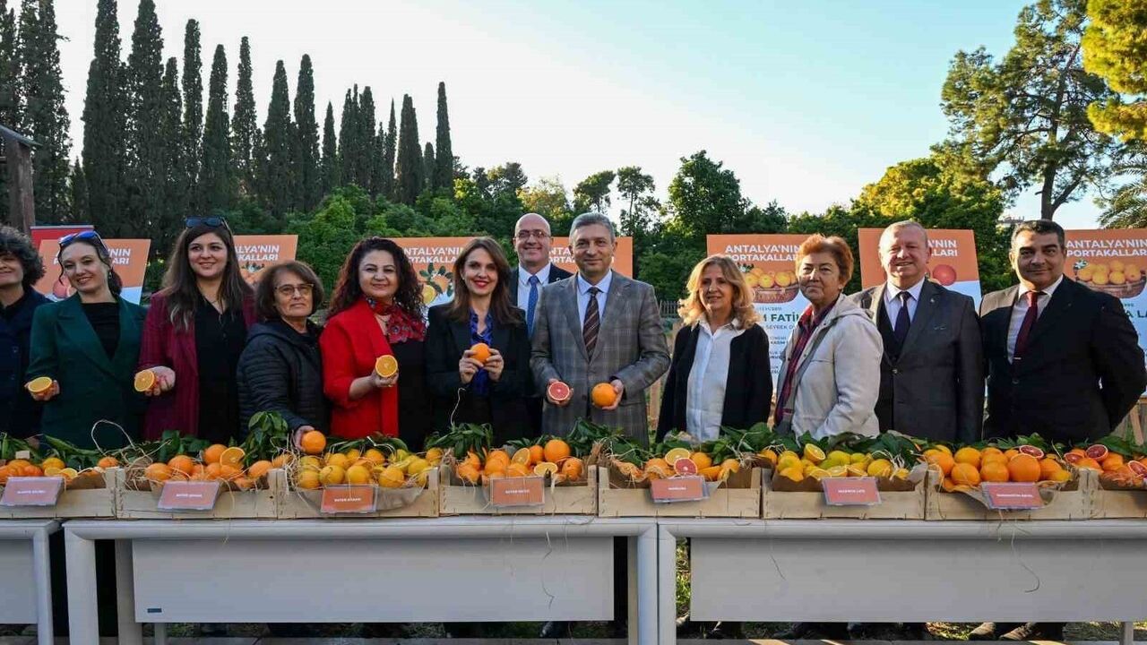 BATEM'in Tescilli Antalya Portakalları Vali Şahin'in Katılımıyla Tanıtıldı