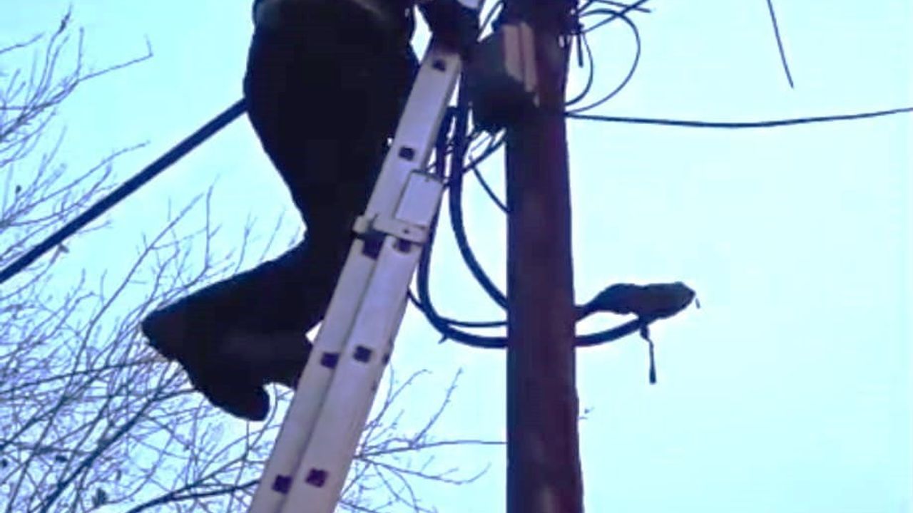 Batman'da direkte mahsur kalan kedi itfaiye tarafından kurtarıldı