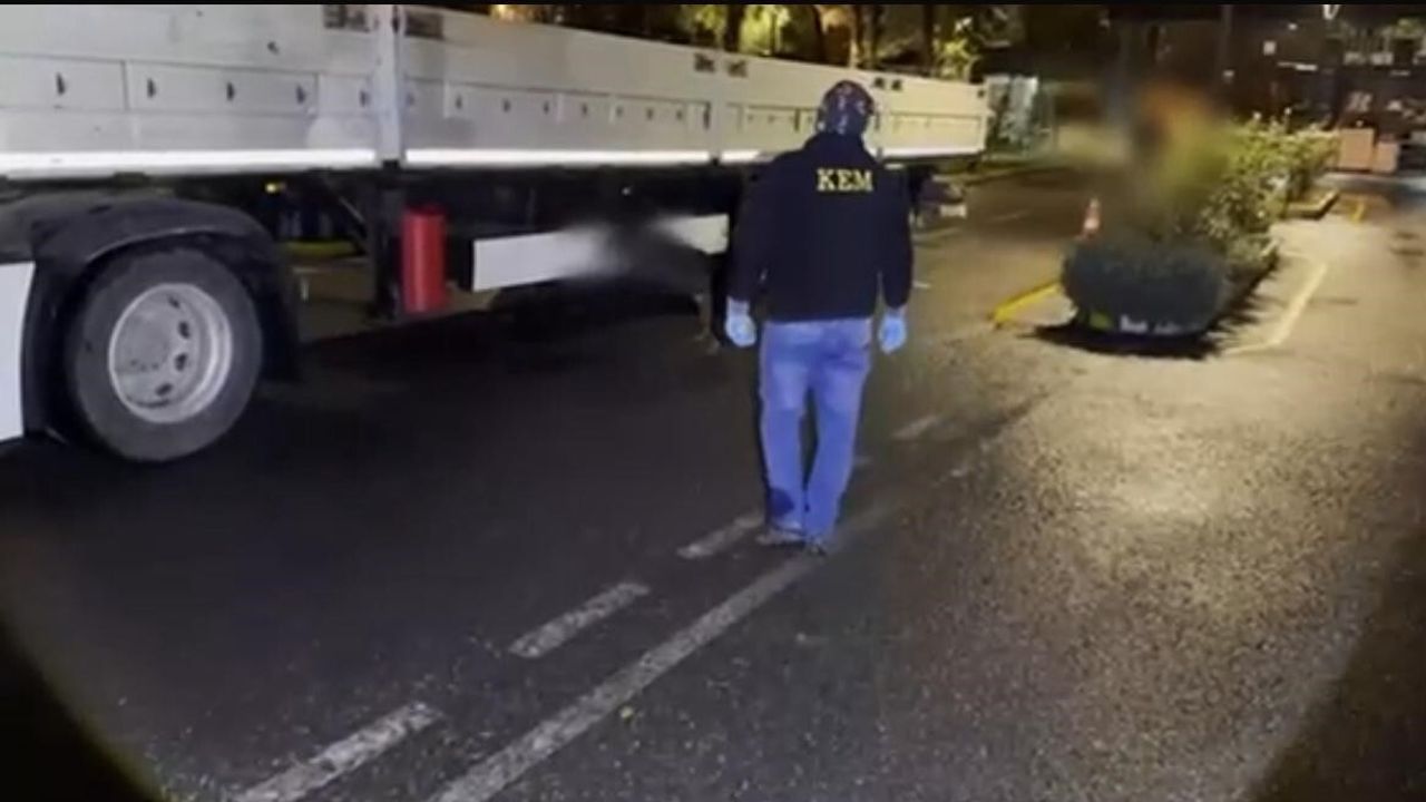 Batman’da 'şehit Alper Albayrak' operasyonunda 35 kilo 800 gram skunk ve 2 kilo 100 gram esrar ele geçirildi