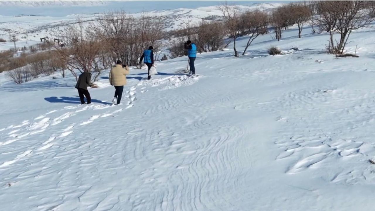 Batman'da yoğun kar sonrası yaban hayvanlarına yem desteği