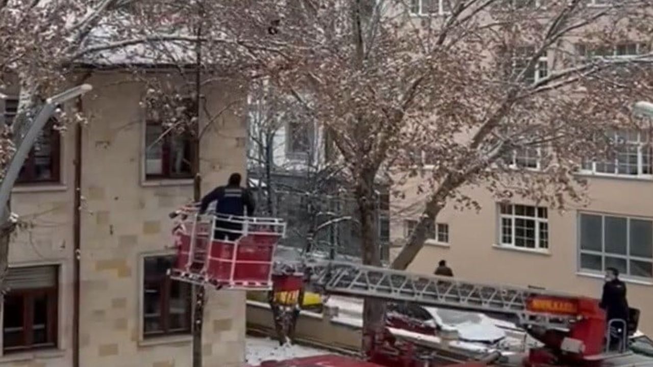 Bayburt'ta Dallara Takılan Karga İtfaiye Ekiplerince Kurtarıldı