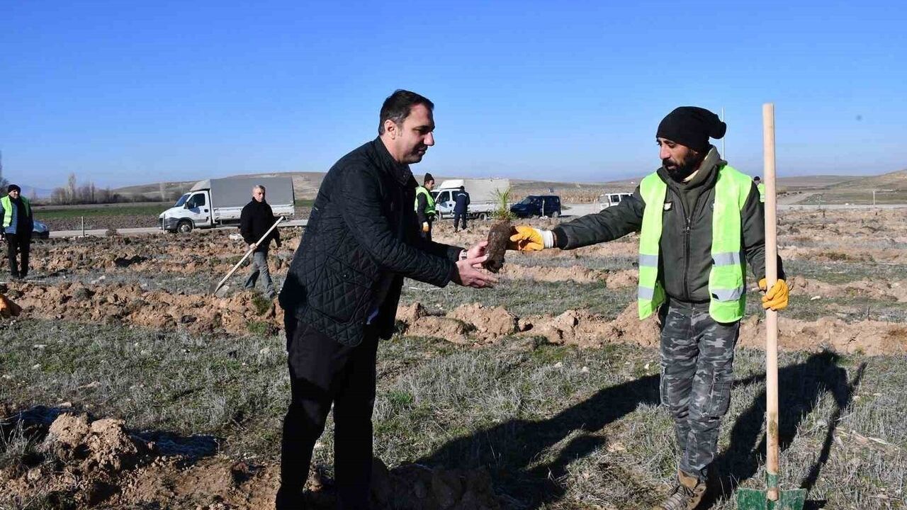 Beylikova Belediyesi, Mihalıççık Orman İşletme ve Parsıbey Muhtarlığı ile bin karaçam fidanı dikti
