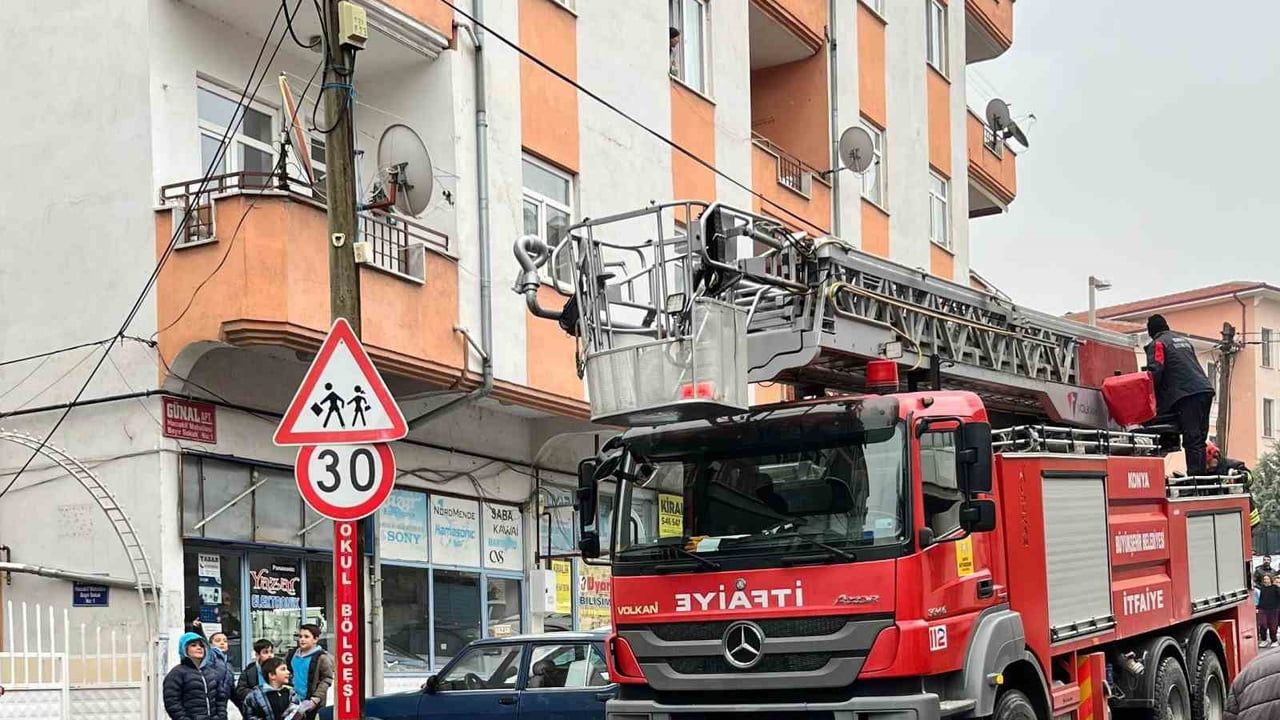 Beyşehir'de itfaiye telefon direğindeki kediyi güvenle kurtardı