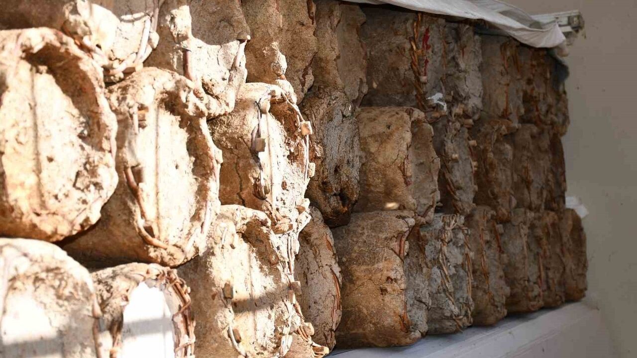 Beytüşşebap'ta üretici misafir odasını bal arılarına tahsis etti