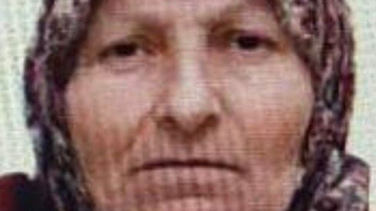 Bilecik’te kaybolan 67 yaşındaki Emine Abdioğlu jandarma tarafından bulundu