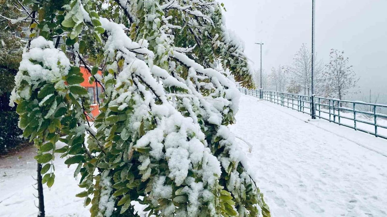 Birecik’te kar yağışı ağaç dallarını kırdı; park halindeki araçlar zarar gördü
