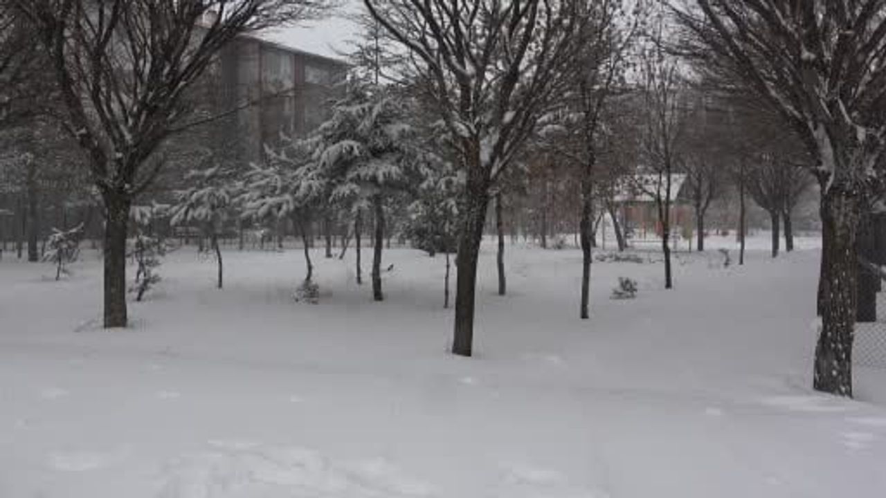 Bitlis'te kar nedeniyle 180 köy yolu ulaşıma kapandı