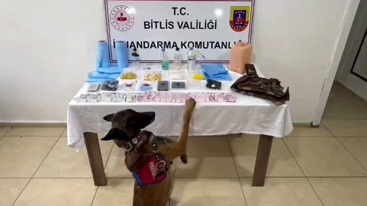 Bitlis'te Tatvan ve Güroymak'ta eş zamanlı uyuşturucu operasyonu: 5 kişi tutuklandı