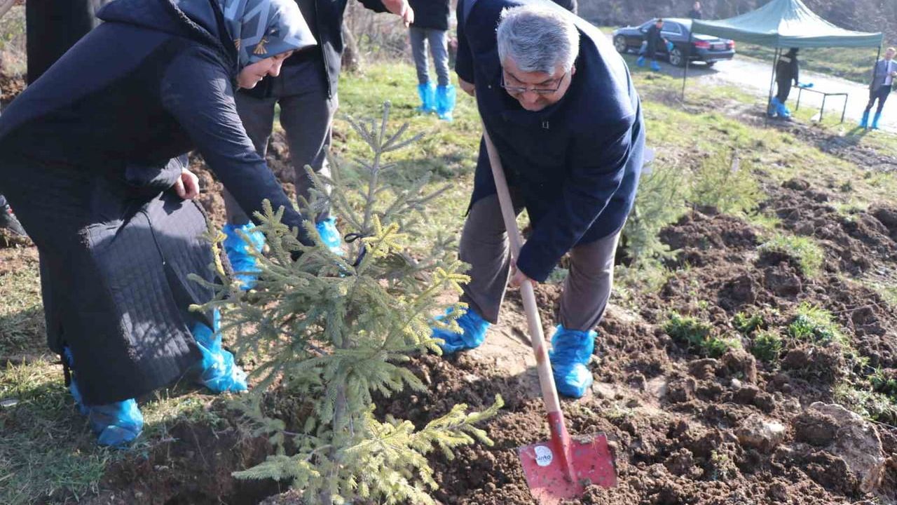 Bolu'da 78 Kişi İçin Yumrukaya'da Hatıra Ormanı Oluşturuldu