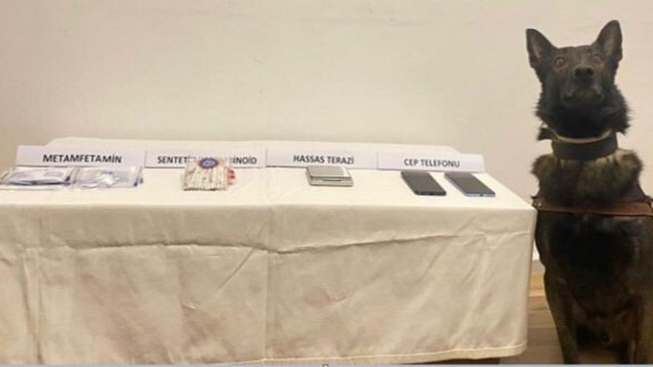 Bolu'da jandarmadan uyuşturucu operasyonu: 2 şüpheli hakkında işlem