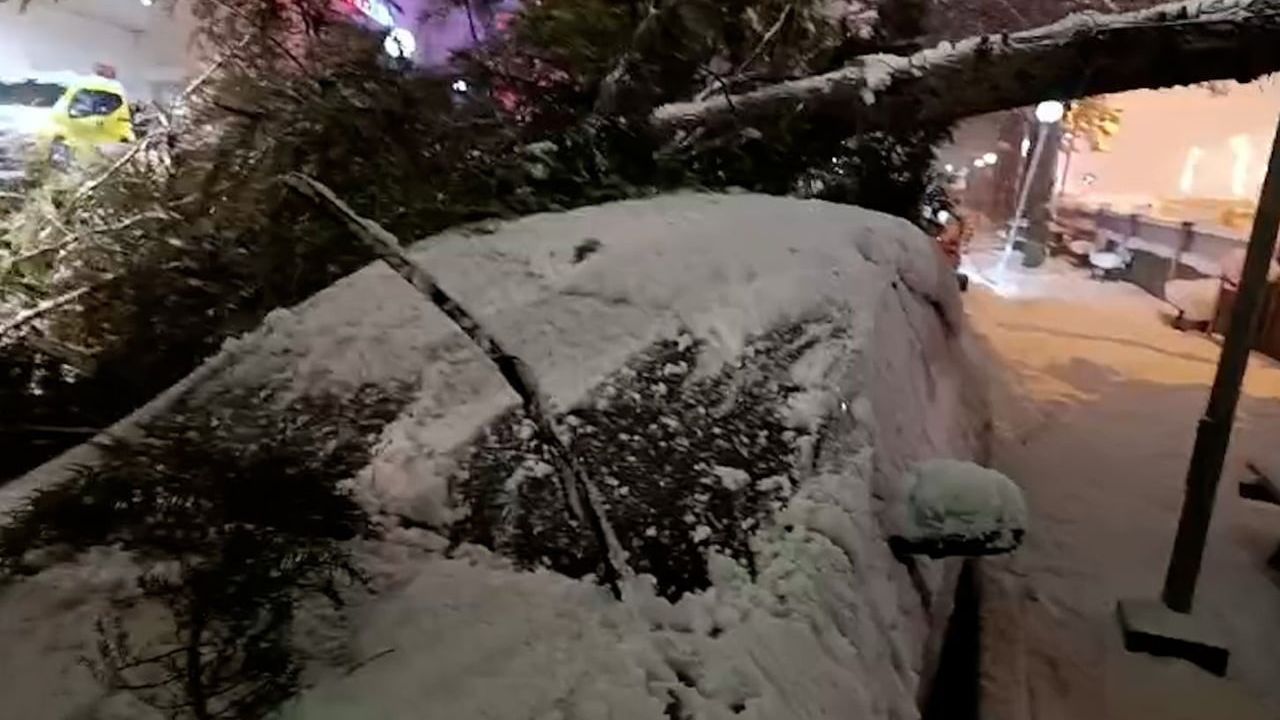 Bolu'da Kar Ağırlığıyla Ağaç Devrildi: Köroğlu Devlet Hastanesi Bahçesindeki Araçta Hasar