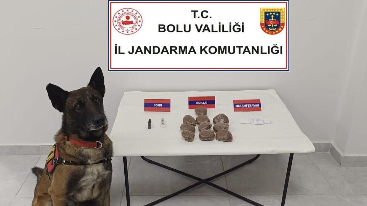 Bolu'da otomobilde zulalanmış uyuşturucu tespit edildi: 2 gözaltı