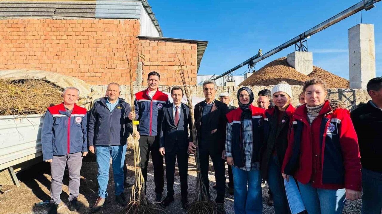 Bozdoğan'da 8 bin 700 fidan üreticilere dağıtıldı: Çeşitliliği artırma projesi kapsamında