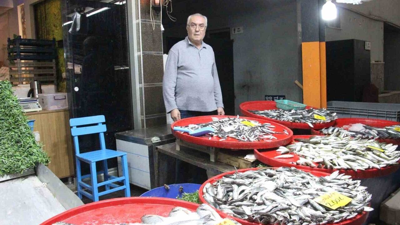 Bozdoğan'da hamsi en çok tercih edilen balık oldu; kış ayında satışlar arttı