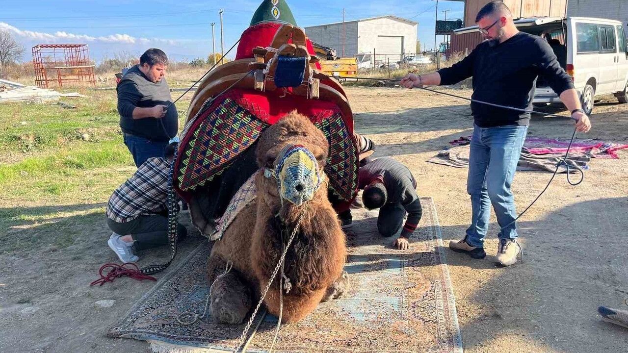 Buldan’da Pehlivan İhramcı Devesi Dualarla Havutlandı