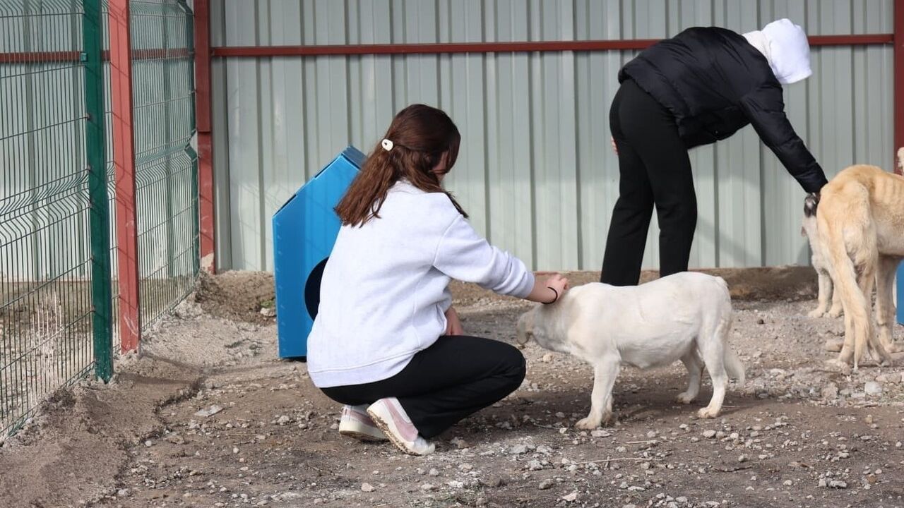 Bünyan Anadolu Lisesi Öğrencileri Sokak Hayvanları Doğal Yaşam Alanını İnceledi