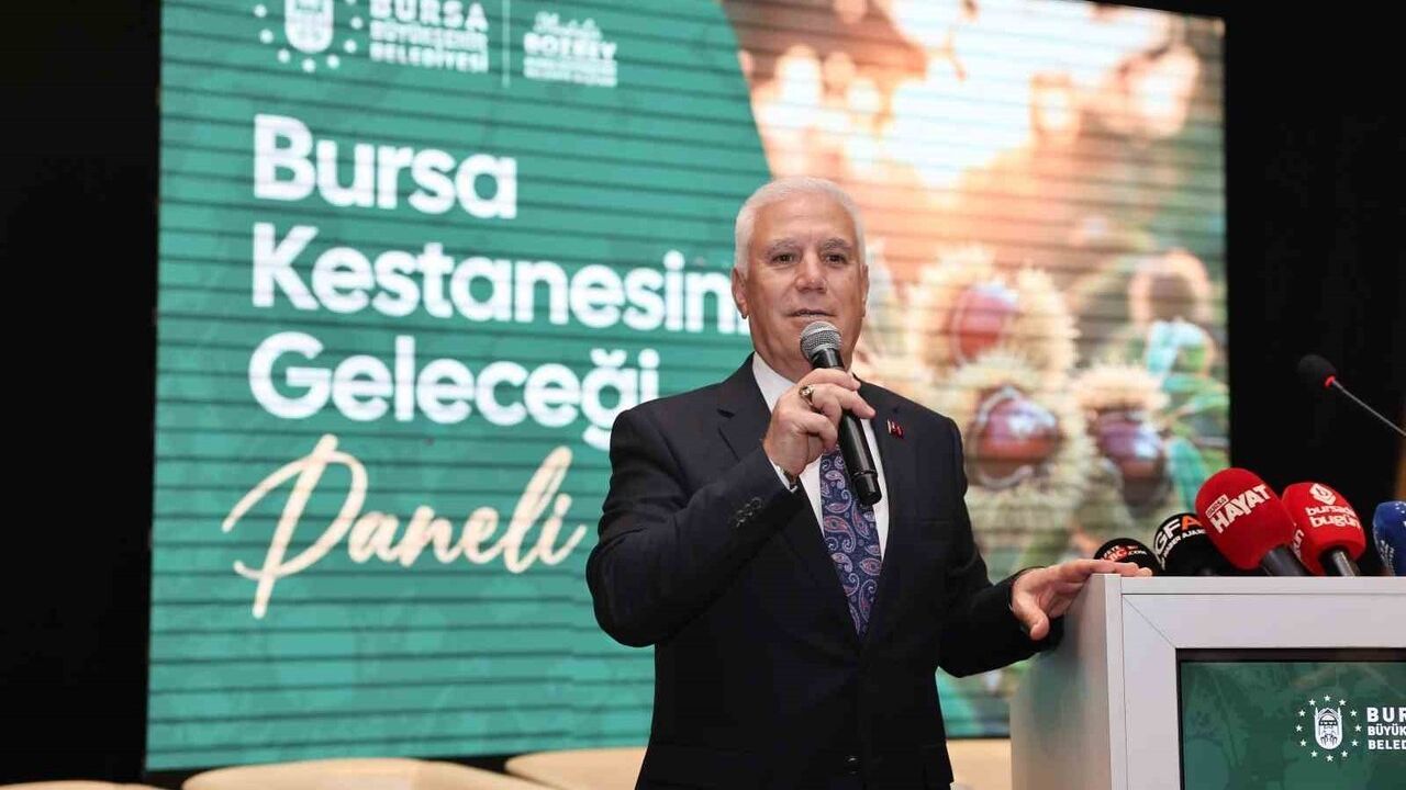 Bursa Büyükşehir, AB Coğrafi İşaretli Bursa Kestanesi İçin Seferberlik Başlattı