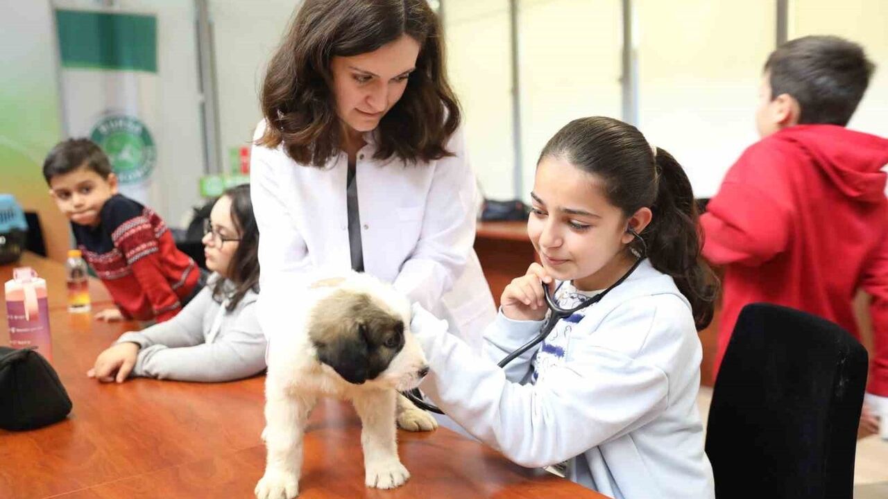 Bursa'da 'Bir Günlüğüne Veteriner Hekim Oluyorum' ile çocuklara hayvan sevgisi aşılanıyor