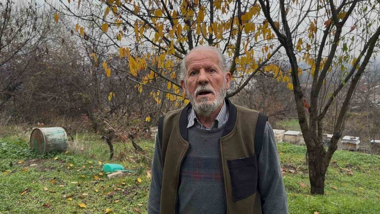 Bursa'da zirai ilaçlar arı ölümlerine yol açtı; arıcılar ağır zarar gördü