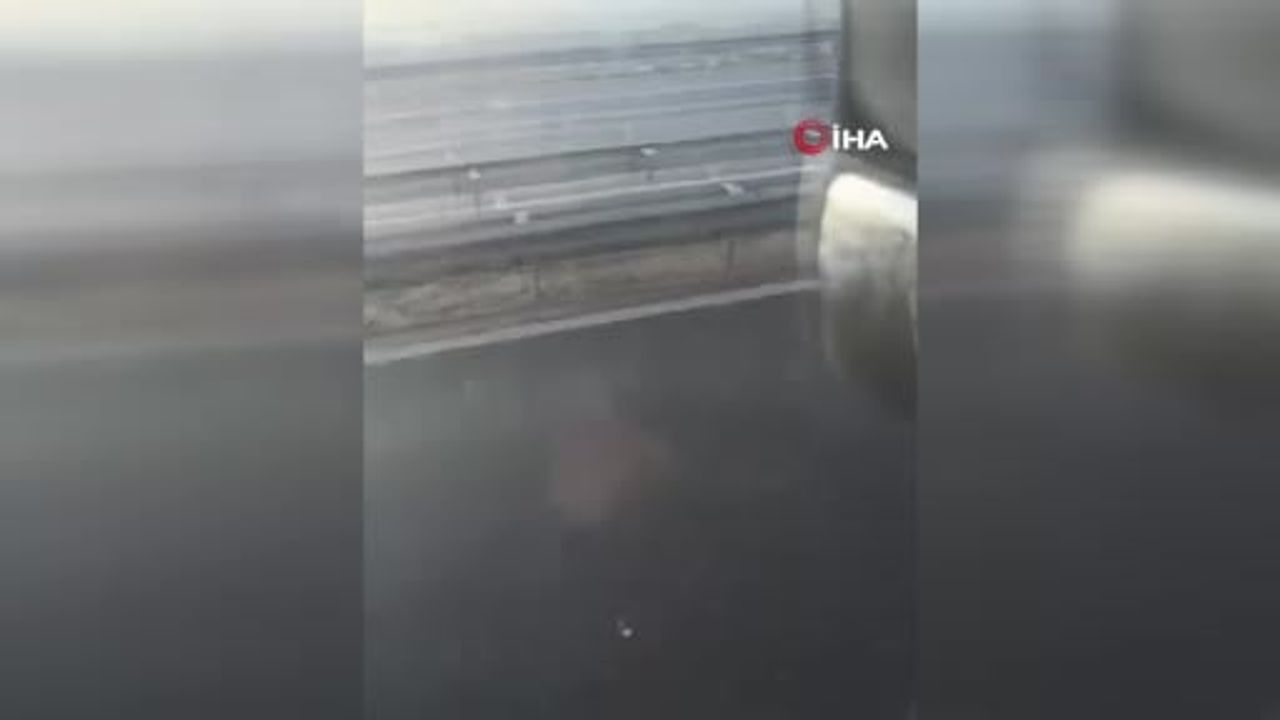 Büyükçekmece Kumburgaz'da emniyet şerdi tartışması: Sürücüya küfür ve araca fiziksel müdahale