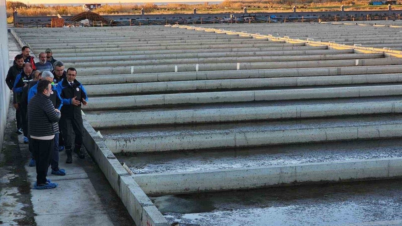 Çanakkale Ayvacık’taki Türkiye’nin Tek Deniz Solucanı Yetiştiriciliği Tesisi Faaliyette