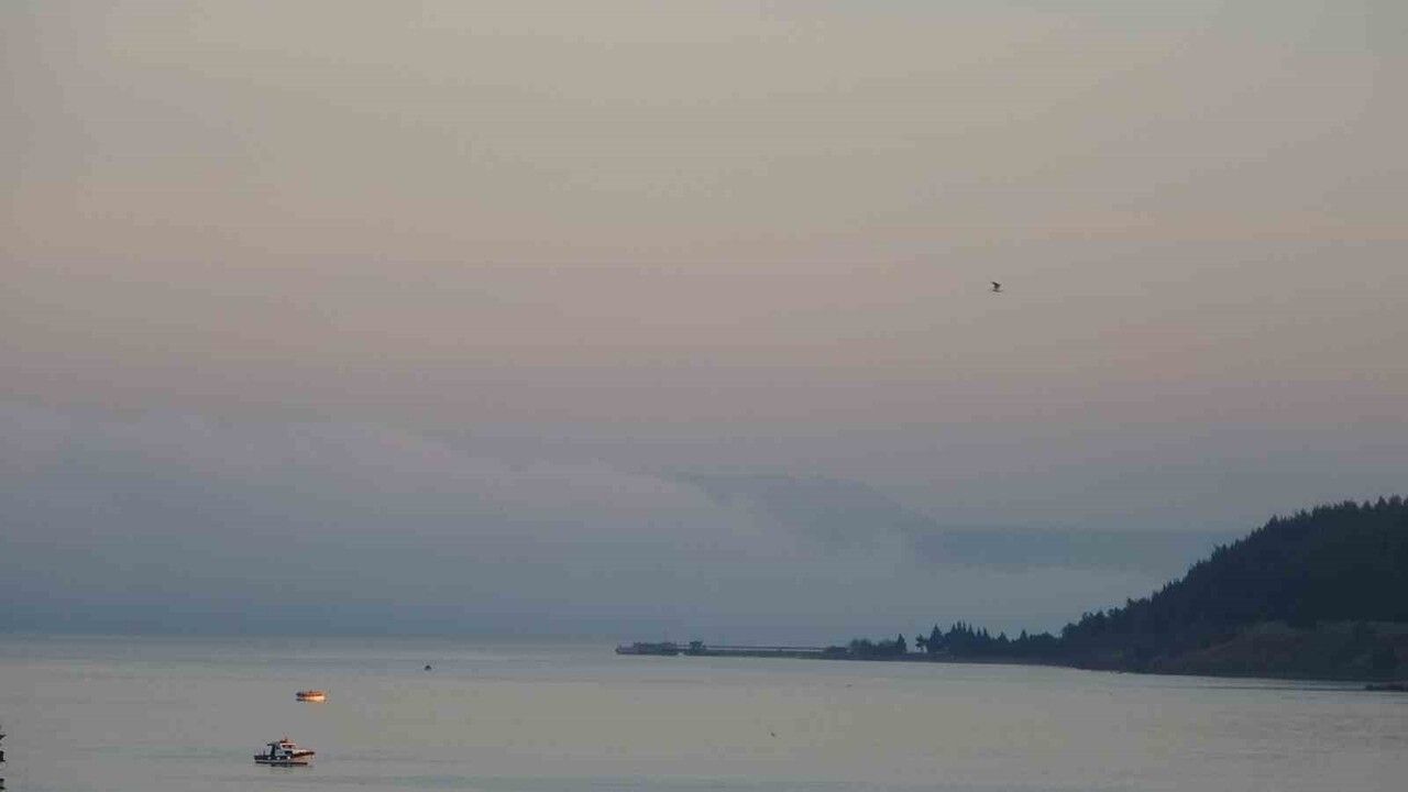 Çanakkale Boğazı, yoğun sis nedeniyle saat 08.00'den itibaren transit gemi geçişlerine kapatıldı