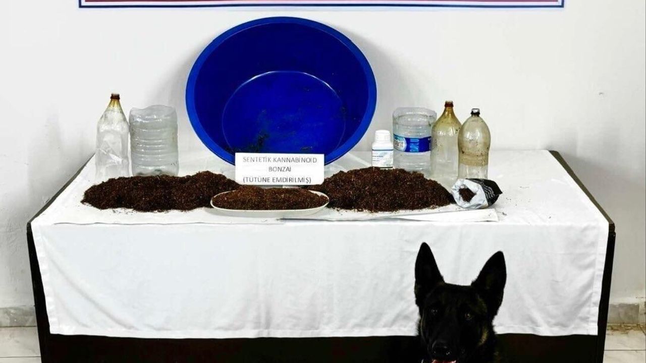 Çankırı'da jandarma operasyonu: Tütüne emdirilmiş sentetik kannabinoid ele geçirildi, 1 gözaltı