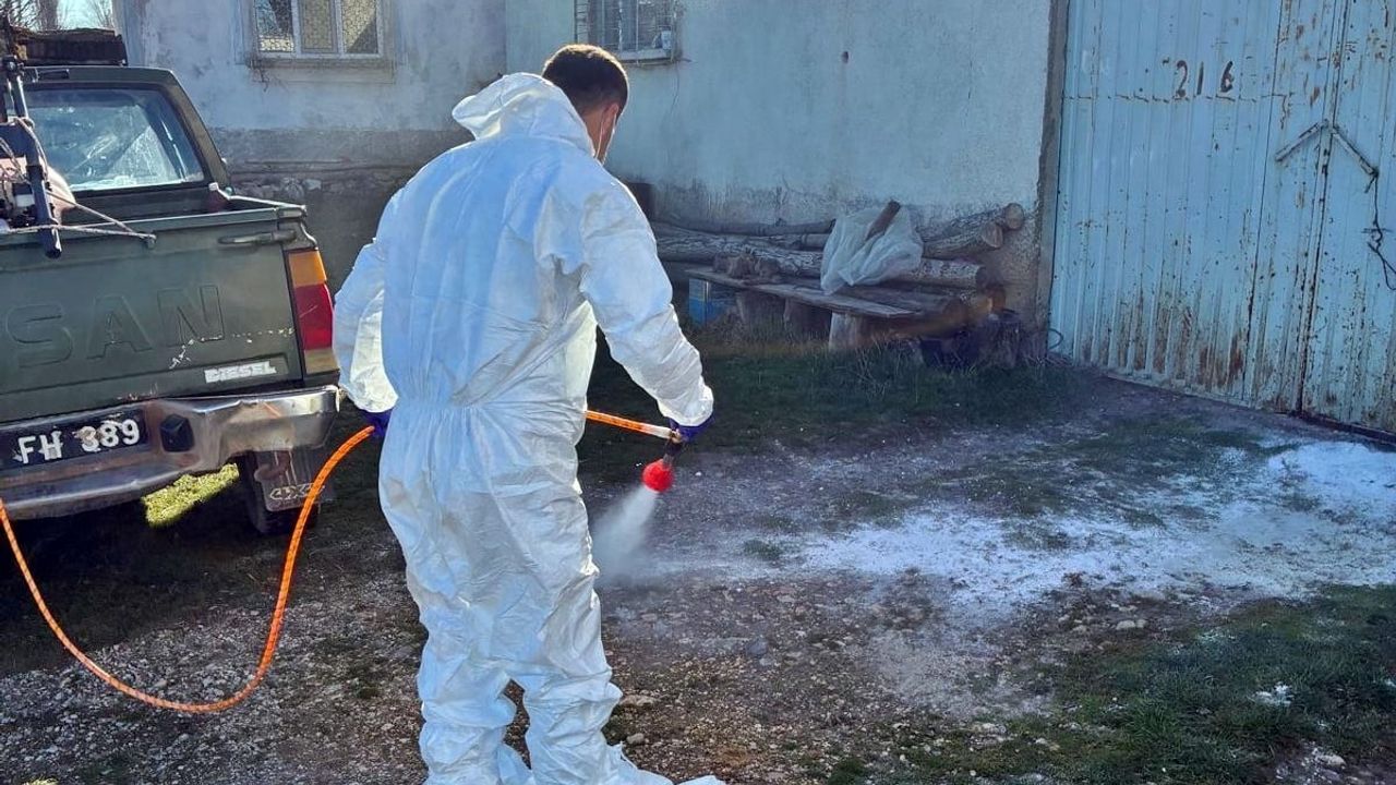 Çavdarhisar'da hayvan işletmelerinde salgın hastalıklara karşı kapsamlı dezenfeksiyon çalışması