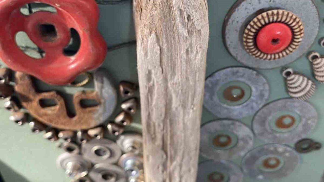 Çeşme'den dünyaya ileri dönüşüm: Nihat Atagöz'ün doğadan sanata yolculuğu