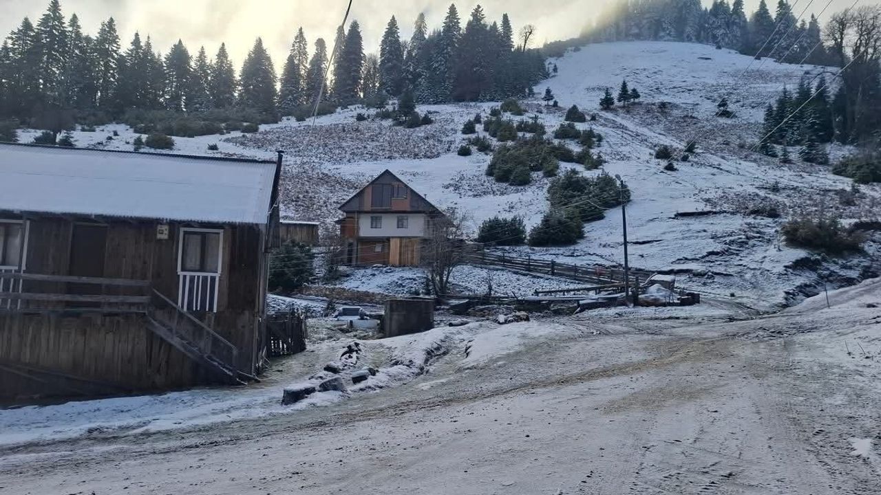 Çiğdem Yaylası'nda kar ve sis: Hendek'te 1.400 rakımda kartpostallık manzara