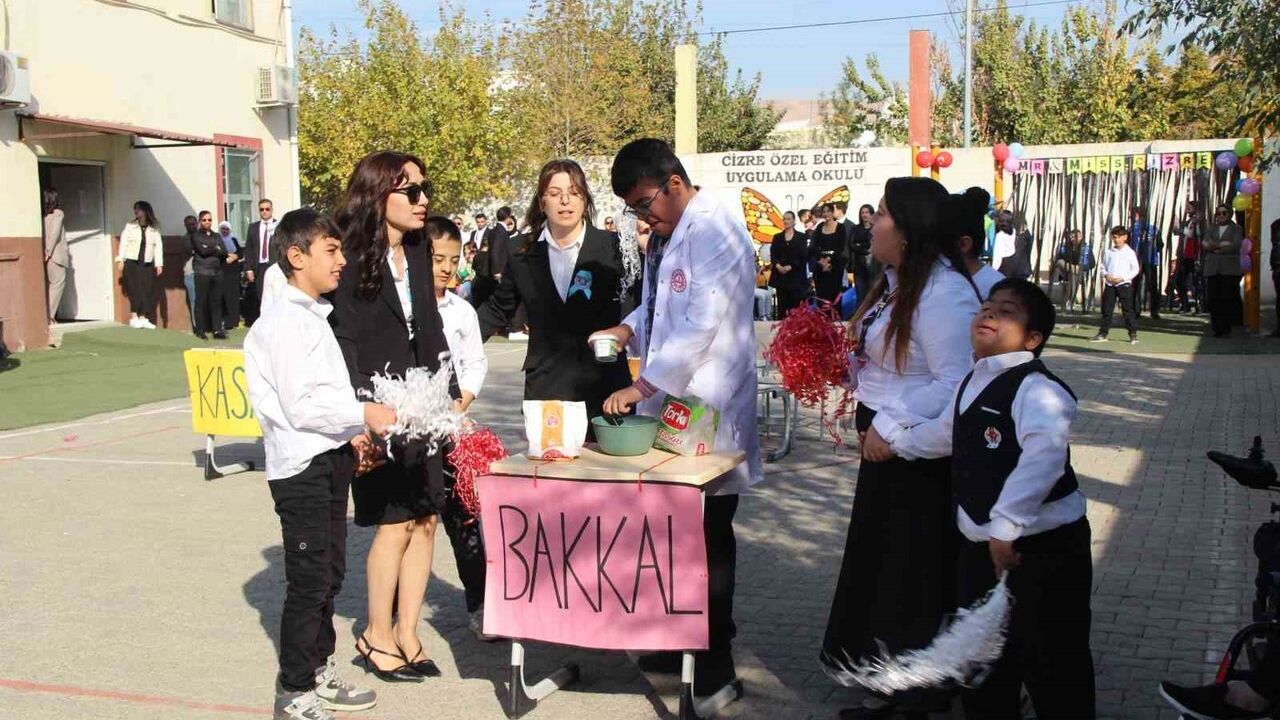 Cizre'de 3 Aralık Dünya Engelliler Günü etkinliği: Gösteriler, defile ve eğitim vurgusu