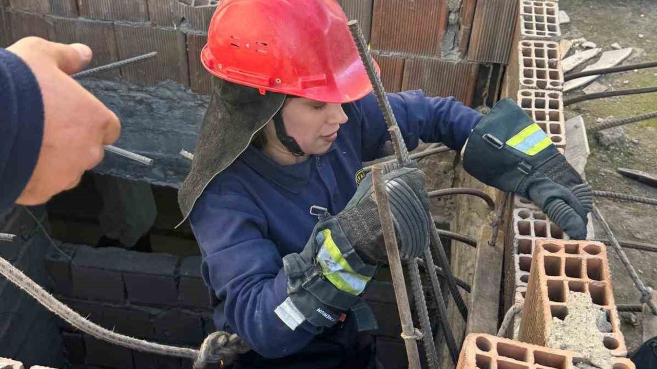Cizre'de asansör boşluğuna düşen kedi itfaiye tarafından kurtarıldı