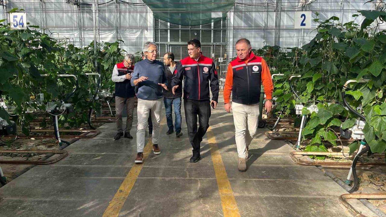 Çorlu'da Modern Seracılık Tesisi: Yıllık 3–5 Bin Ton Sebze ve 750 Bin Süs Bitkisi Üretimi