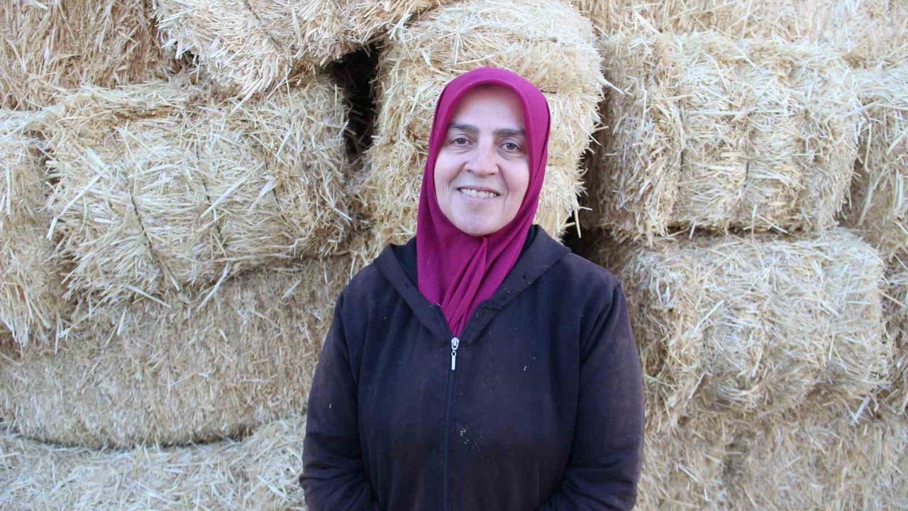 Çorum'da kadın girişimci 11 mandayla başladı, manda üretiminde taleplere yetişemiyor