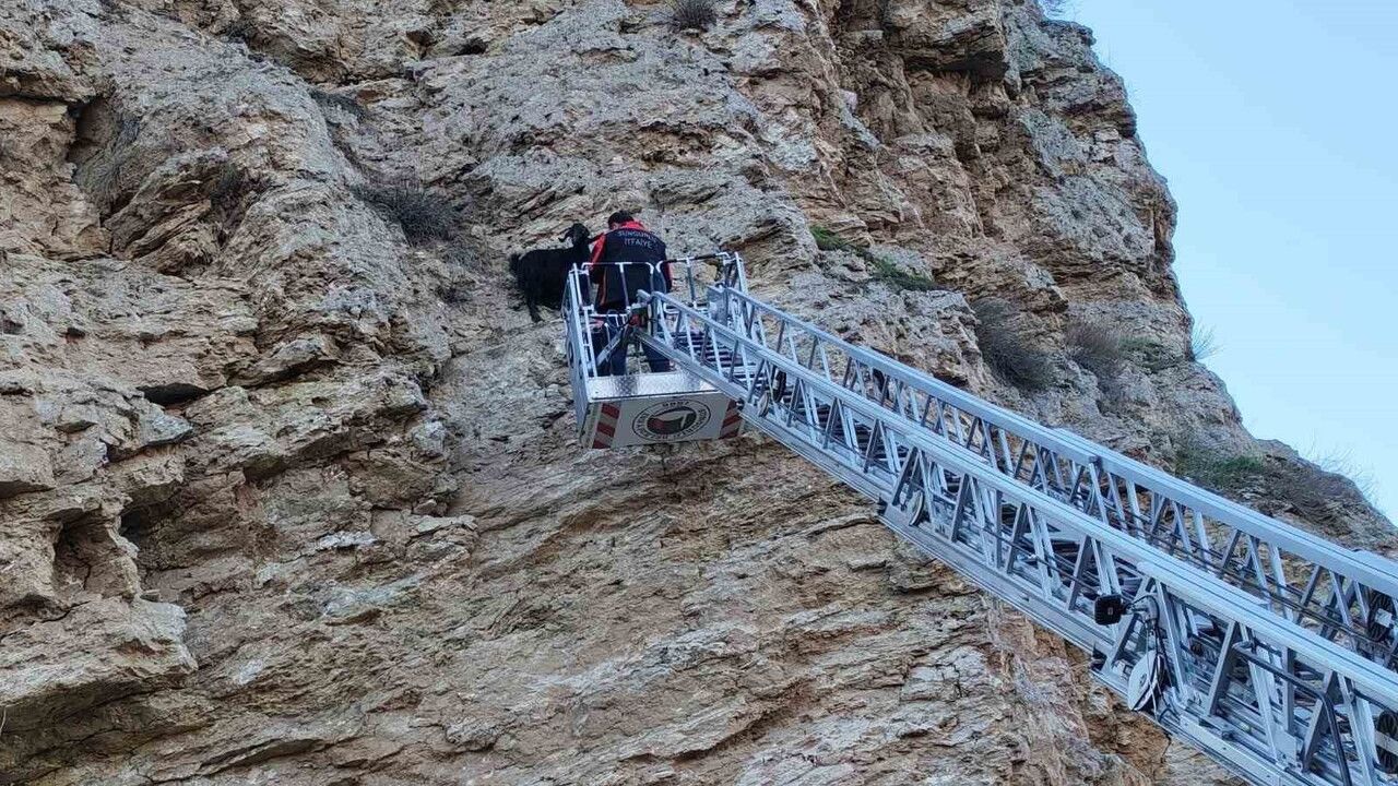 Çorum Sungurlu'da uçurumda mahsur kalan keçiler itfaiye ekiplerince kurtarıldı