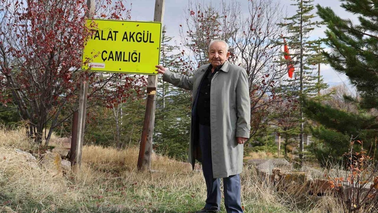 Çukurbelen'de 5 Fidandan 3 Bine: Köyün Ormanlaşma Serüveni