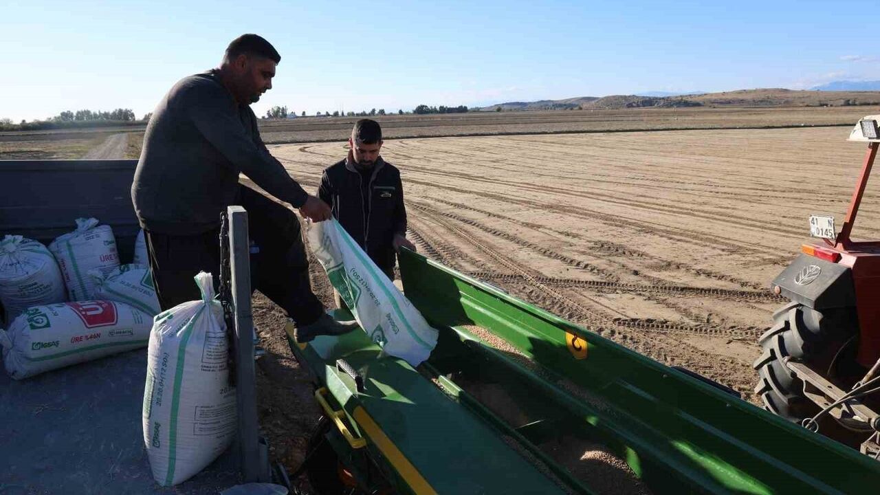 Çukurova'da buğday ekimi başladı: Kozan'da ilk ekim yapıldı, üreticiler kuraklık ve maliyetten endişeli