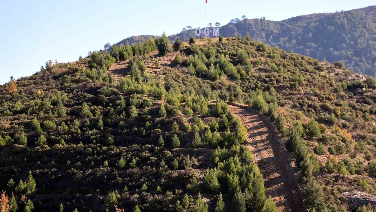 Dalaman-Göcek yangını sonrası bin 433 hektar alan 6 yılda yeniden ormanlaştı