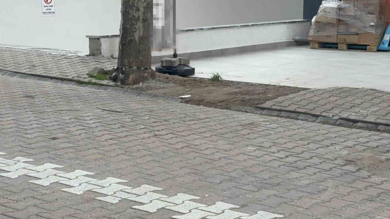 Darıca'da market çalışanı ağaç altındaki kargo poşetinden 60 bin dolar buldu