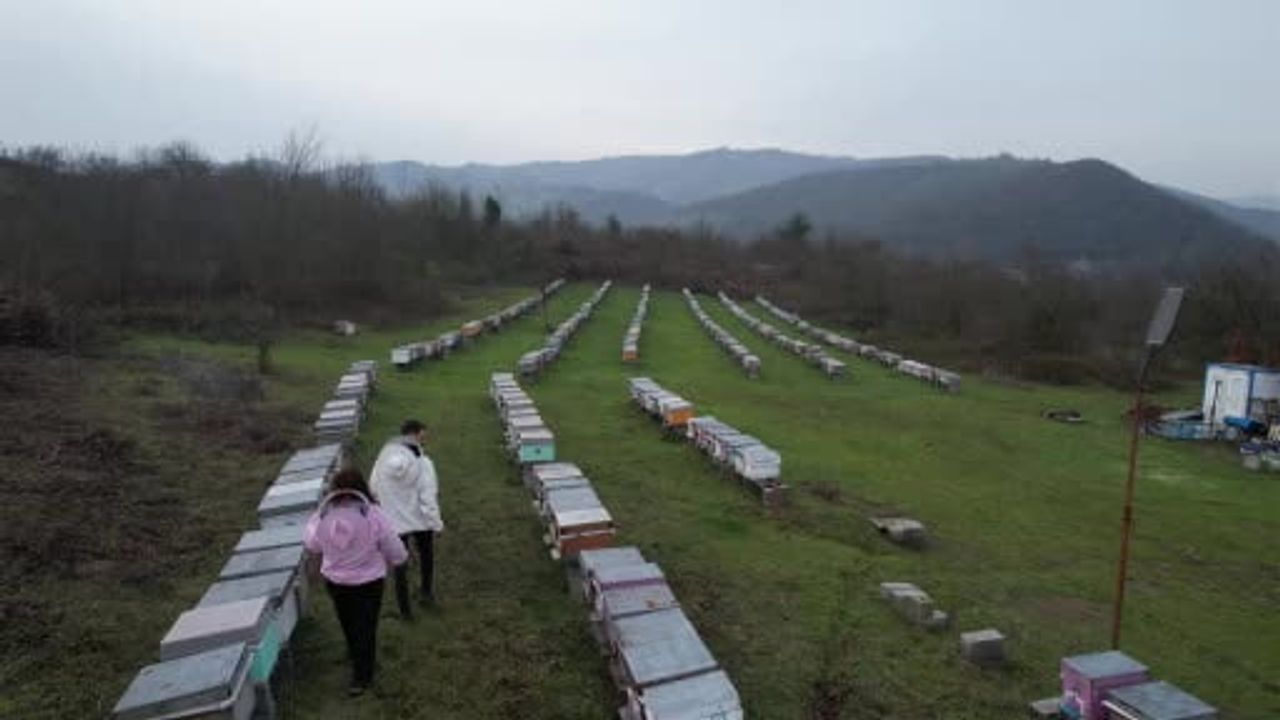 Dededen devraldığı arıcılığı modernize etti: Zonguldak kestane balı Londra ve Paris'te iki yıl üst üste altın ödül aldı