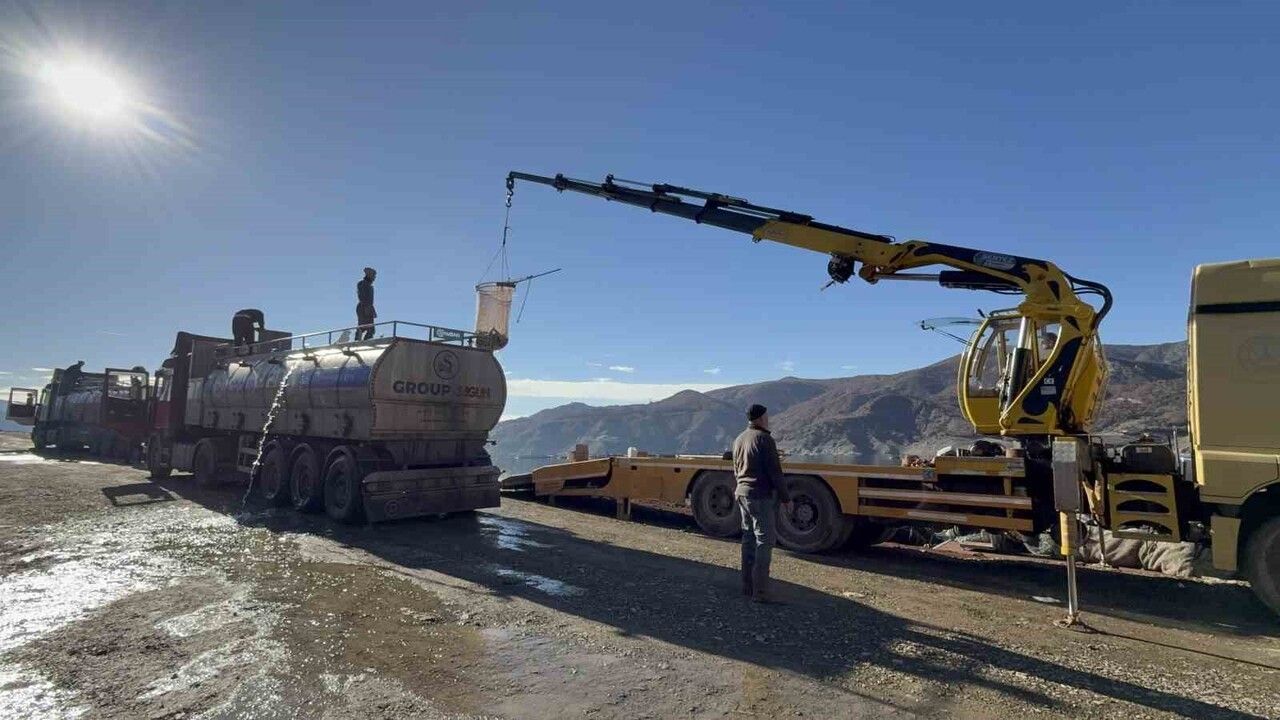 Denizi Olmayan Tokat’tan Dünyaya: Almus Barajı’nda Yetiştirilen Somonlar Avrupa ve Uzak Doğu Pazarına Ulaşıyor