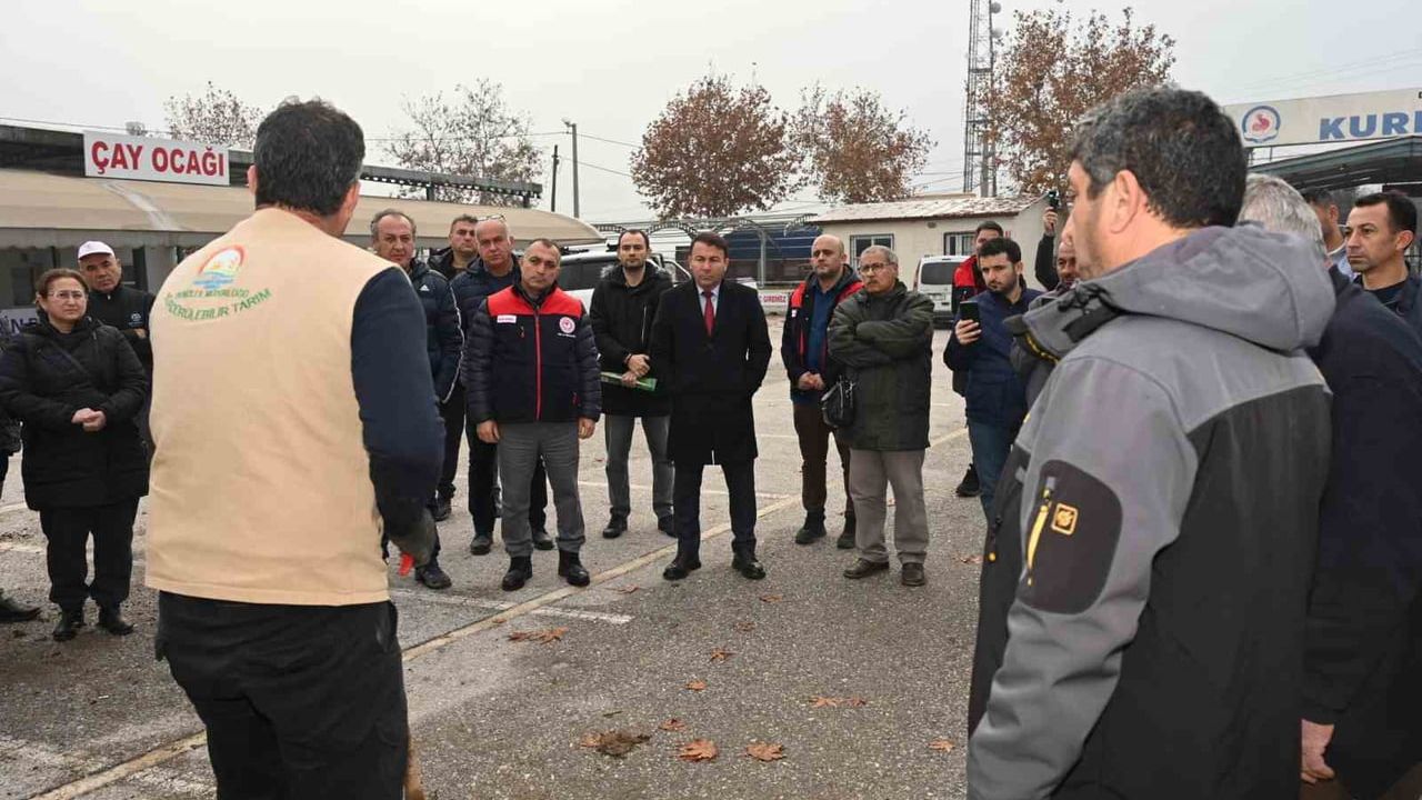 Denizli'de ceviz fidanı dağıtımı başladı — 'Ceviz Üretim Alanlarını Geliştirme Projesi' kapsamında