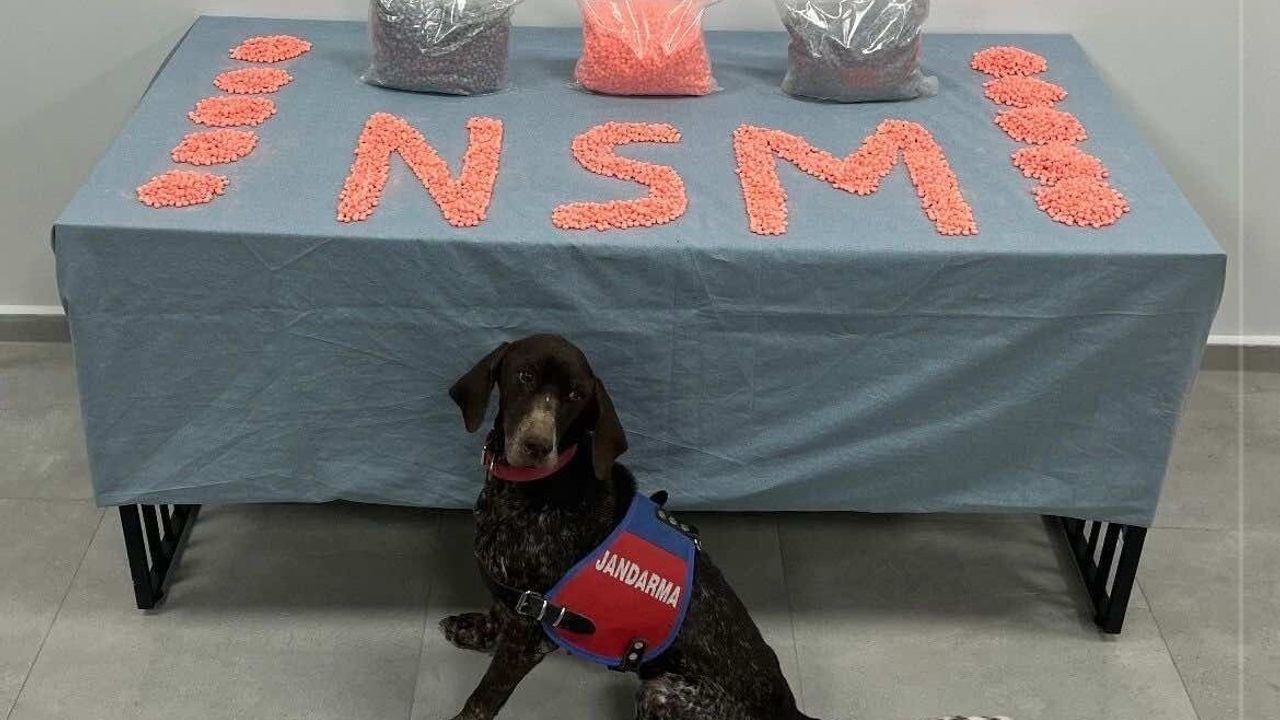 Denizli'de Jandarma 1 Aylık Takiple 28 Bin Extacy Hap Ele Geçirdi, Şüpheli Tutuklandı