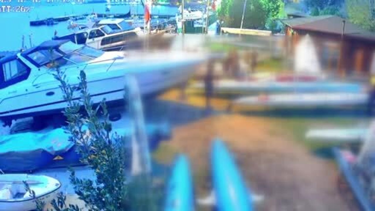 Derince Yelken Kulübünde kaçak deniz küreği operasyonu: iki tekneye el konuldu