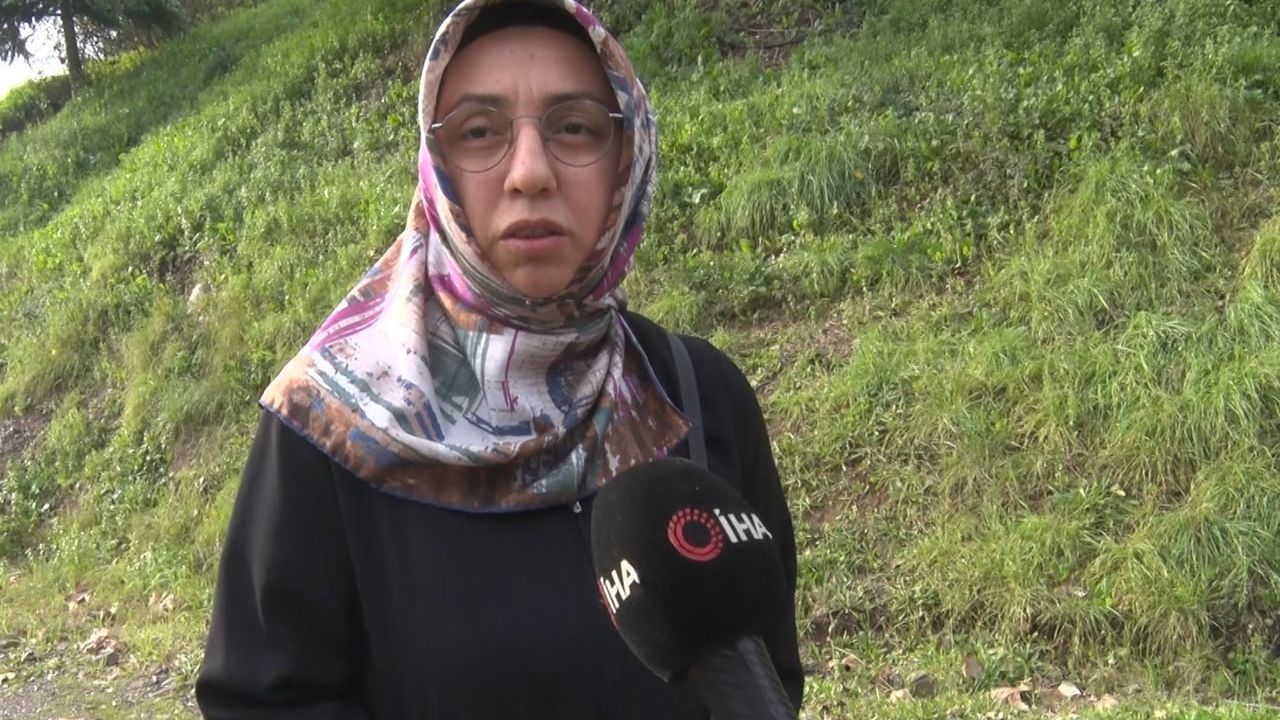 Derince Yenikent'te başıboş köpek sürüleri vatandaşları tedirgin ediyor