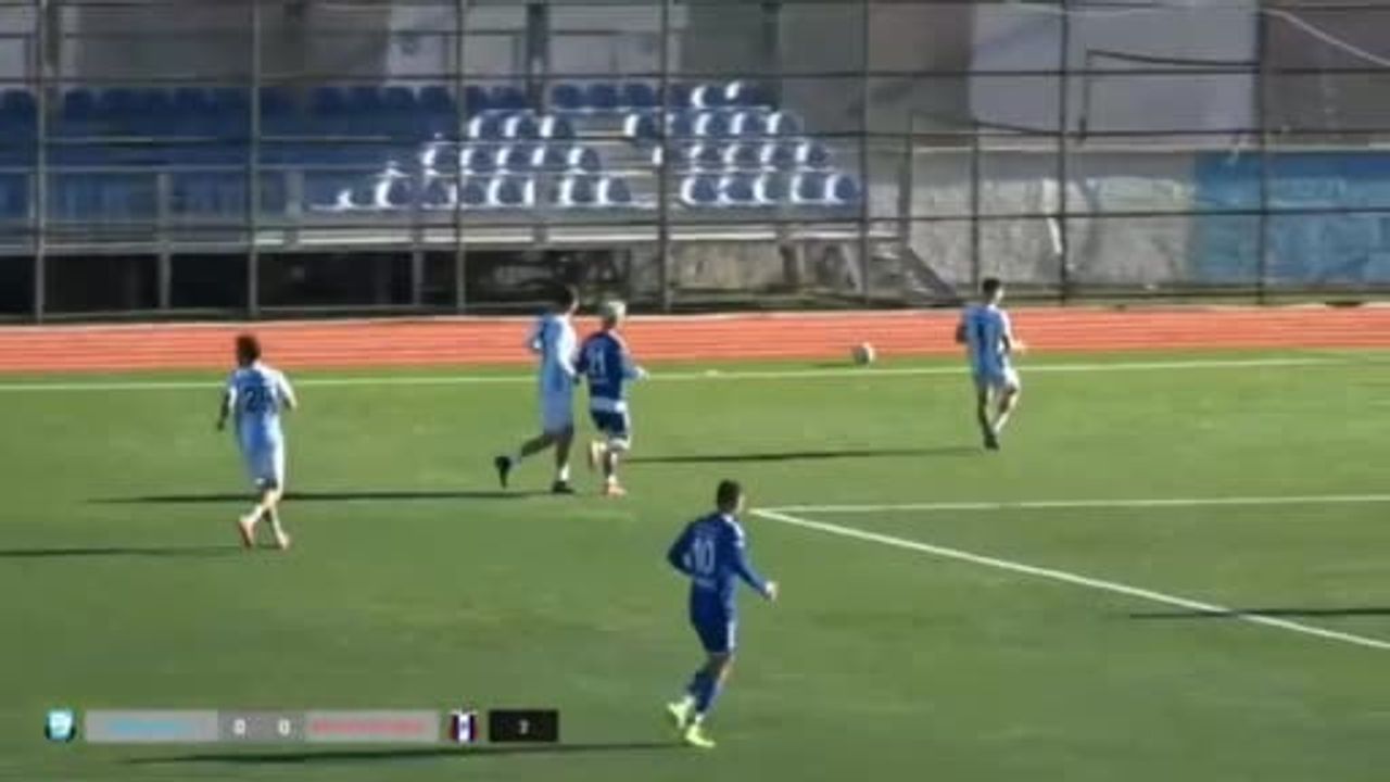 Dersimspor-Serhat Ardahan maçında ceza sahasında uyuyan köpek kısa süreli duraksamaya neden oldu